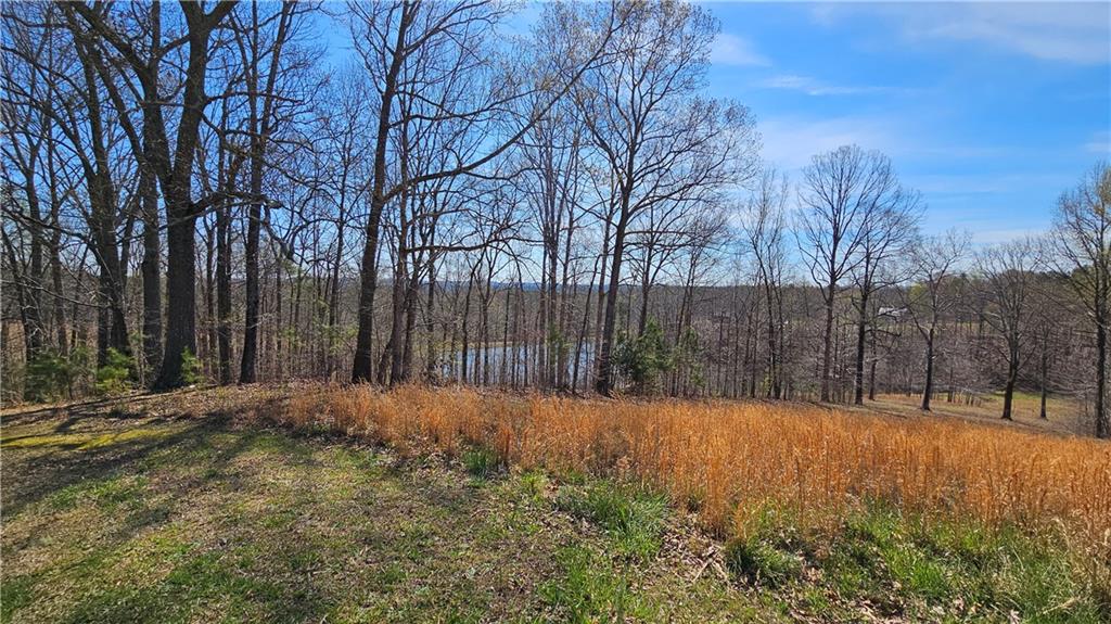 Lot 2 Snote Jones Road, Dallas, Georgia image 12