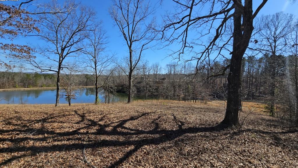 Lot 2 Snote Jones Road, Dallas, Georgia image 5