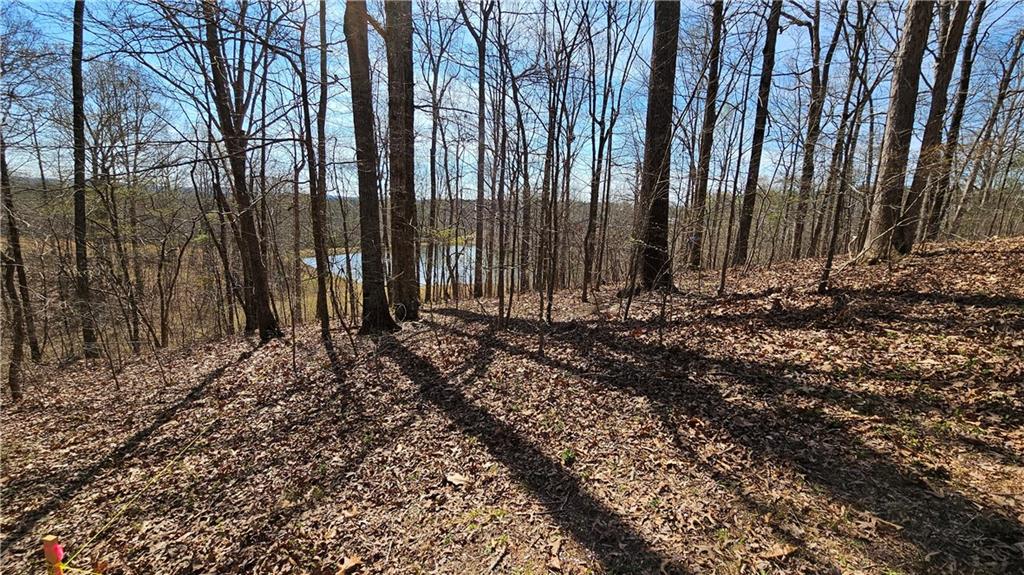 Lot 2 Snote Jones Road, Dallas, Georgia image 8