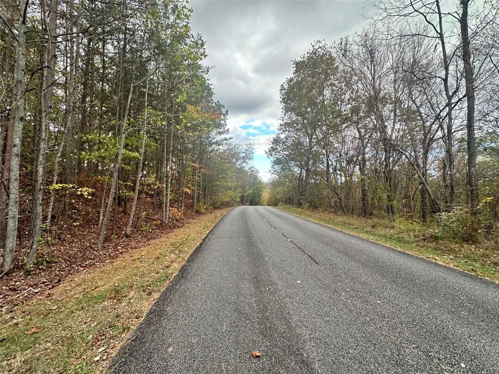 Outback Rd Lot #85, Jasper, Georgia image 28