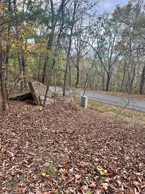 Outback Rd Lot #85, Jasper, Georgia image 26