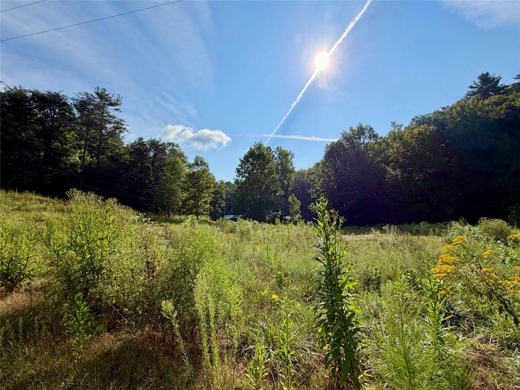 1657 Nimblewill Gap Road