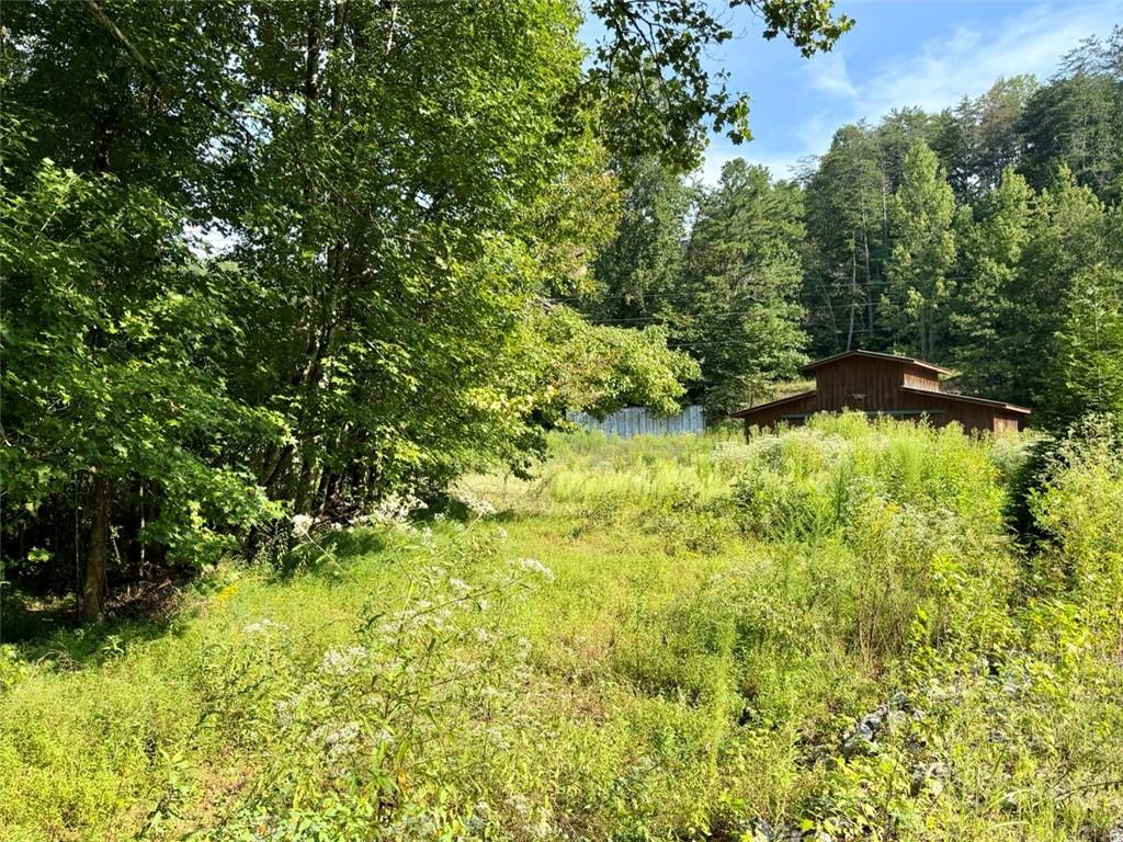 1657 Nimblewill Gap Road