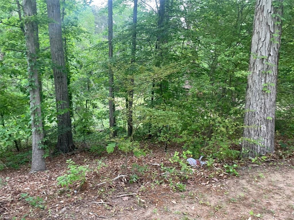 248 Dreamland Circle, Winder, Georgia image 12