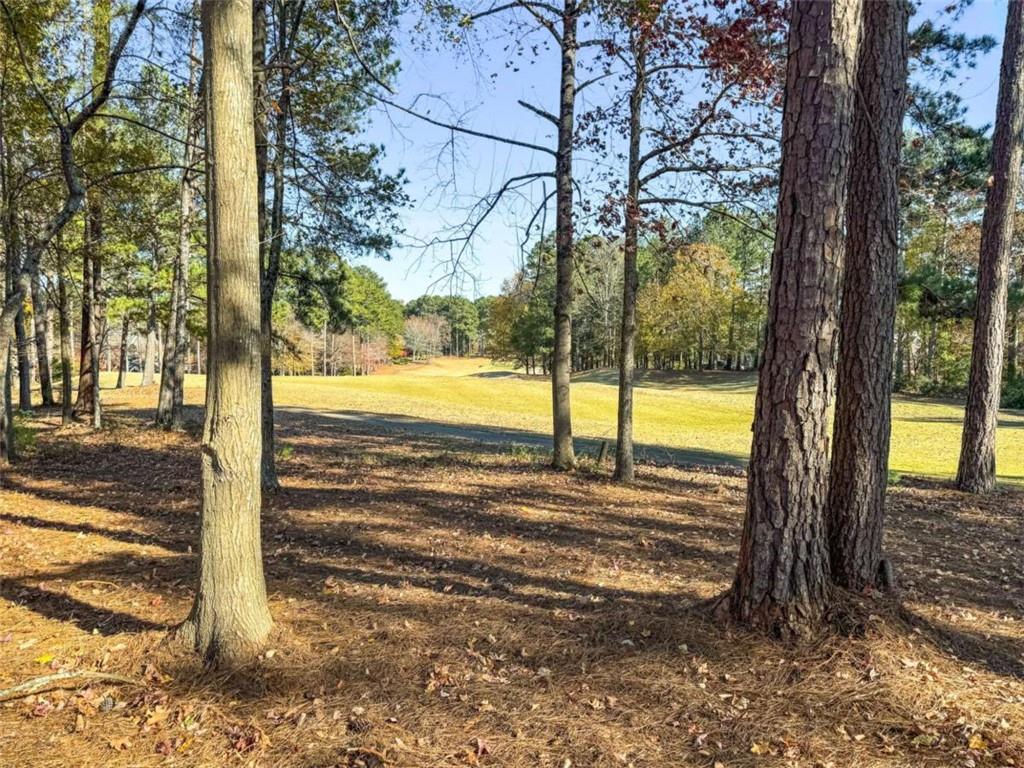1874 Mcgarity Road, Mcdonough, Georgia image 5