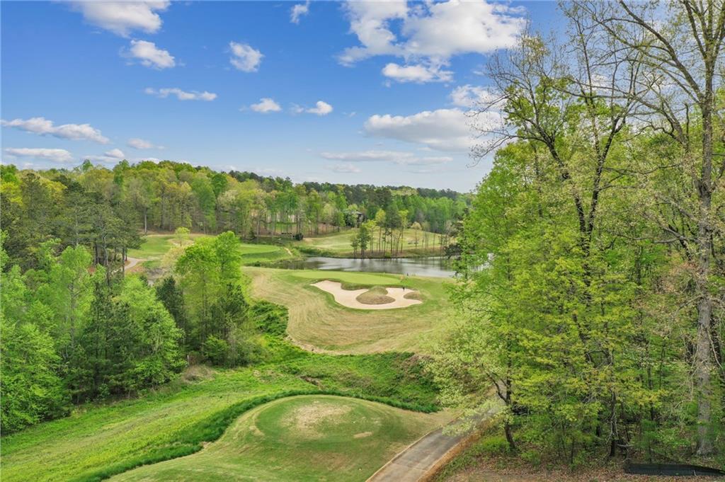 231 Traditions Drive, Alpharetta, Georgia image 7