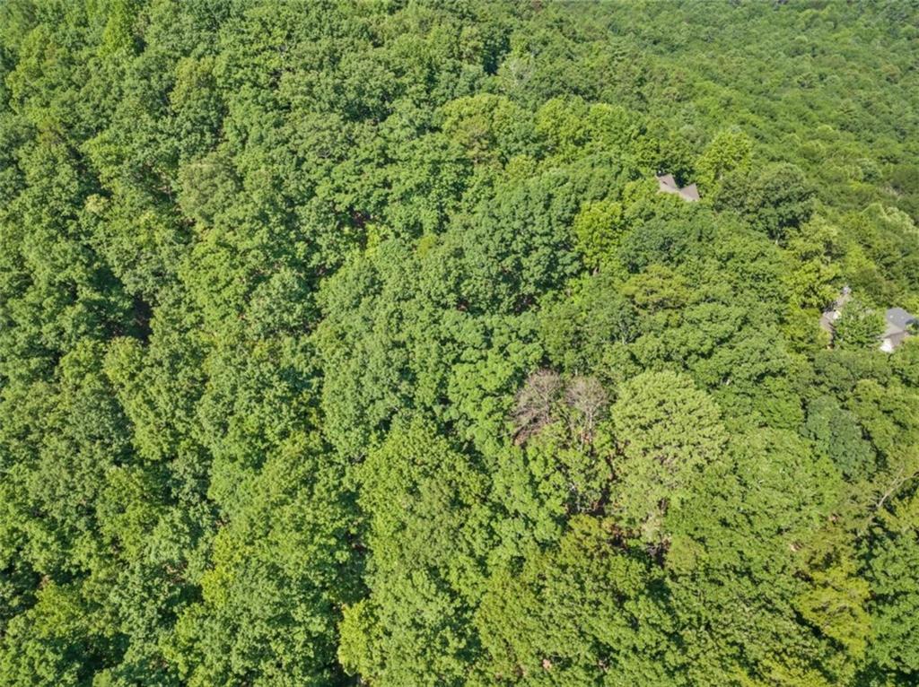 45 Grimes Nose, Sautee Nacoochee, Georgia image 9