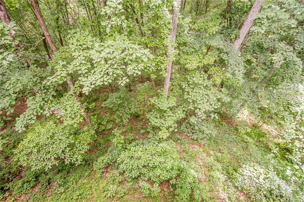213 Moonshine Hollow, Blue Ridge, Georgia image 31