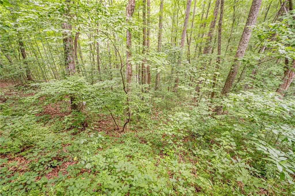 213 Moonshine Hollow, Blue Ridge, Georgia image 46