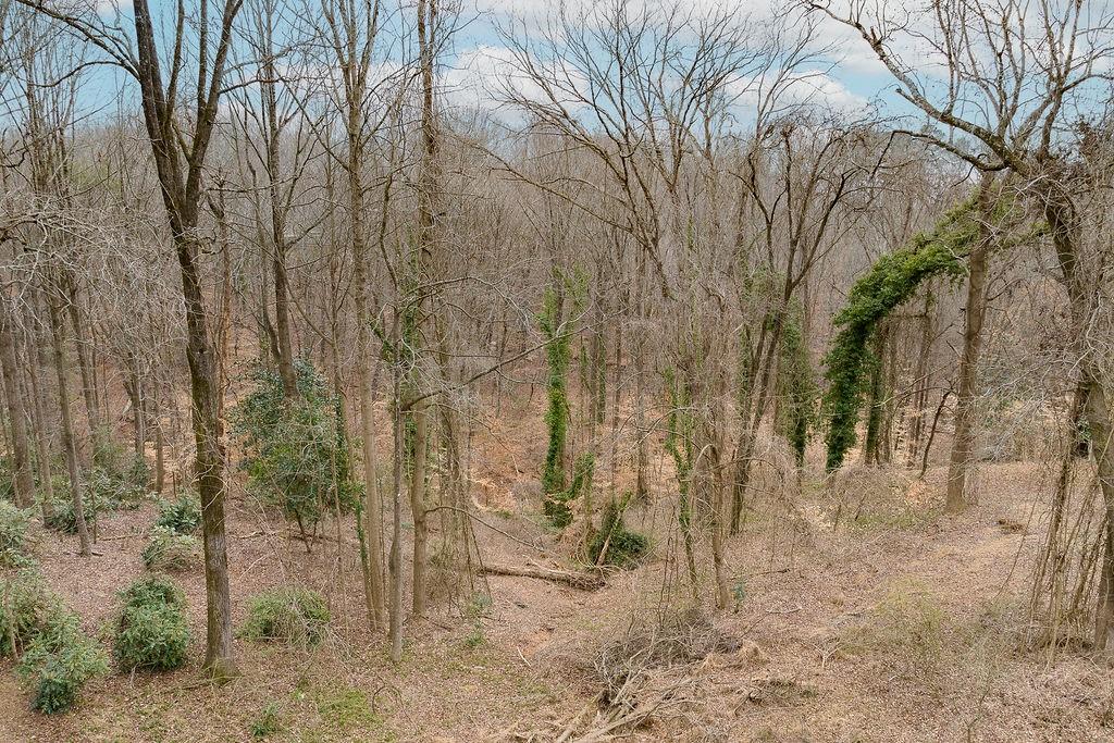 2169 Skyline Drive, Gainesville, Georgia image 41