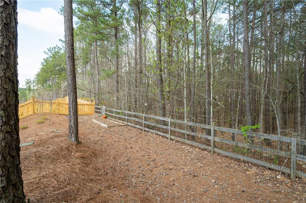 65 Turtle Rock Cove, Acworth, Georgia image 28