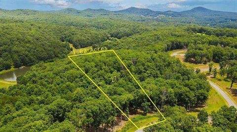 Vacant Land For Sale - Ridge Drive<br/> Morganton, GA 30560