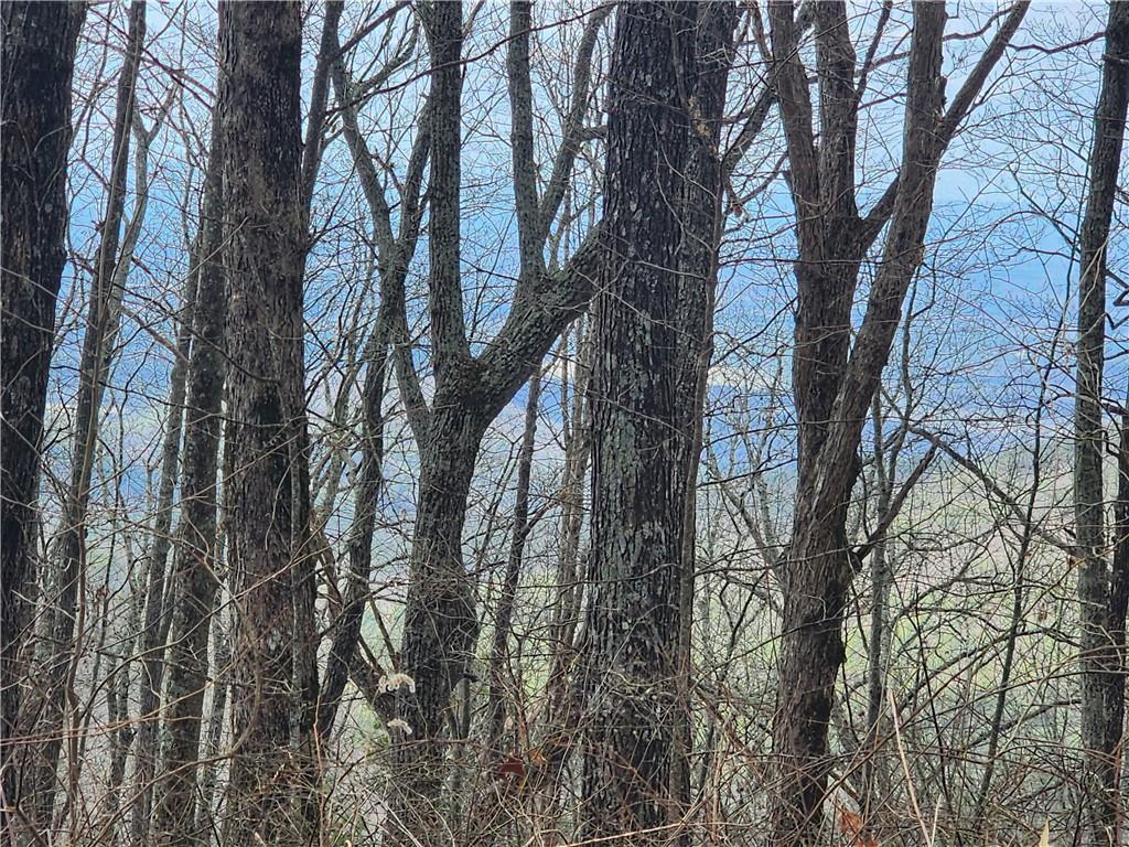 Dowell Circle, Ellijay, Georgia image 3