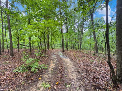 Vacant Land For Sale - 3 Cooper Bridge Road<br/> Gainesville, GA 30507