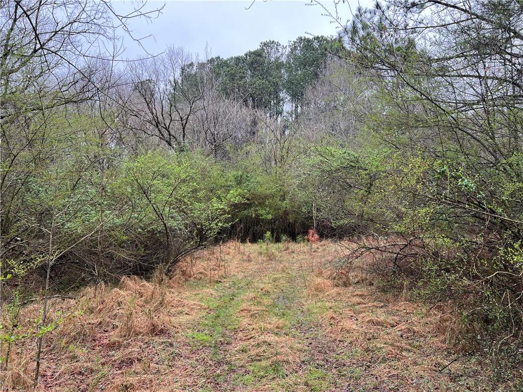 299 Hog Farm Circle, Canton, Georgia image 3