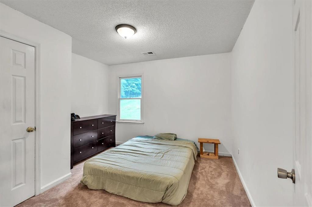 143 Navajo Trail, Rydal, Georgia image 36
