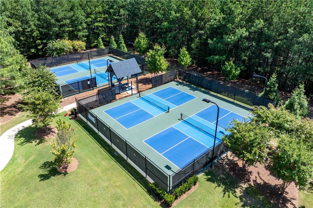 226 Crescent Moon Way, Canton, Georgia image 45