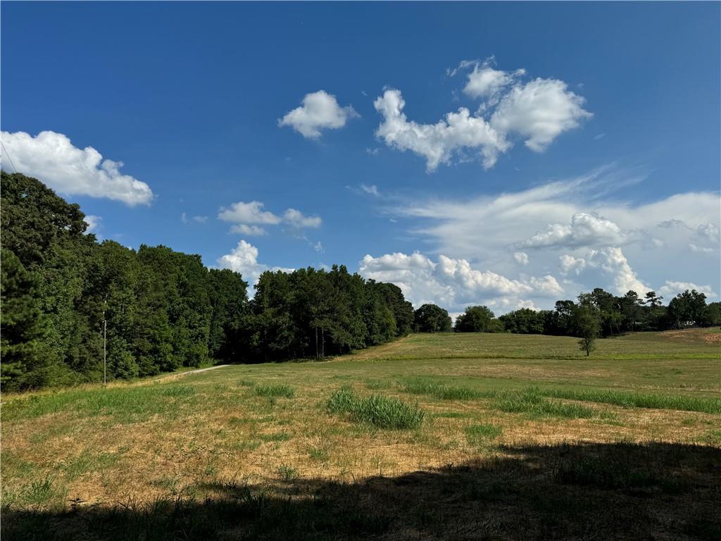 8143 A East Cherokee Drive, Canton, Georgia image 7