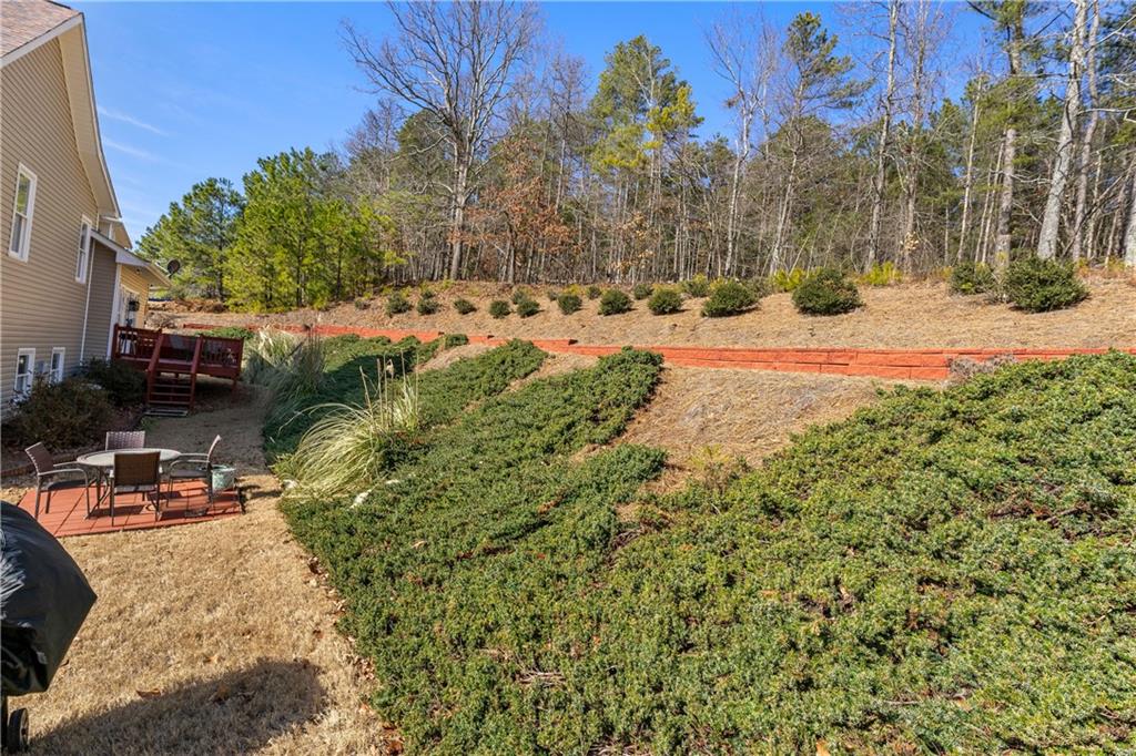 2270 Washington Drive, Douglasville, Georgia image 28