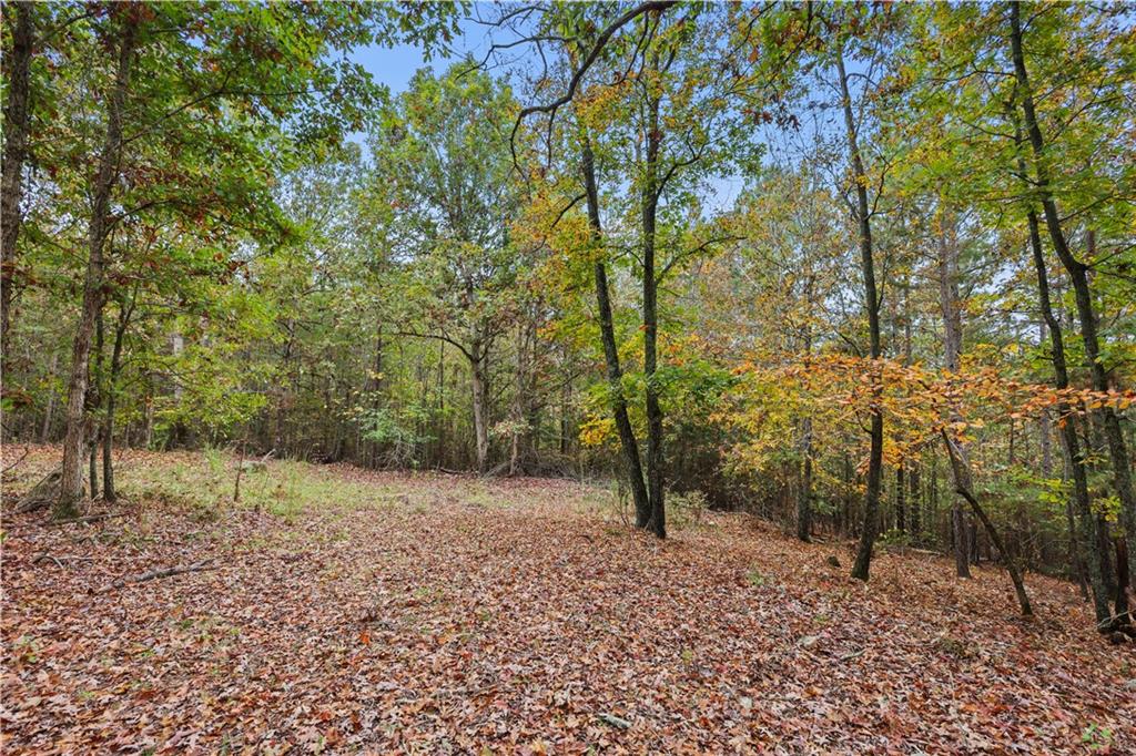 Lot 3 Mill Street, Elberton, Georgia image 8