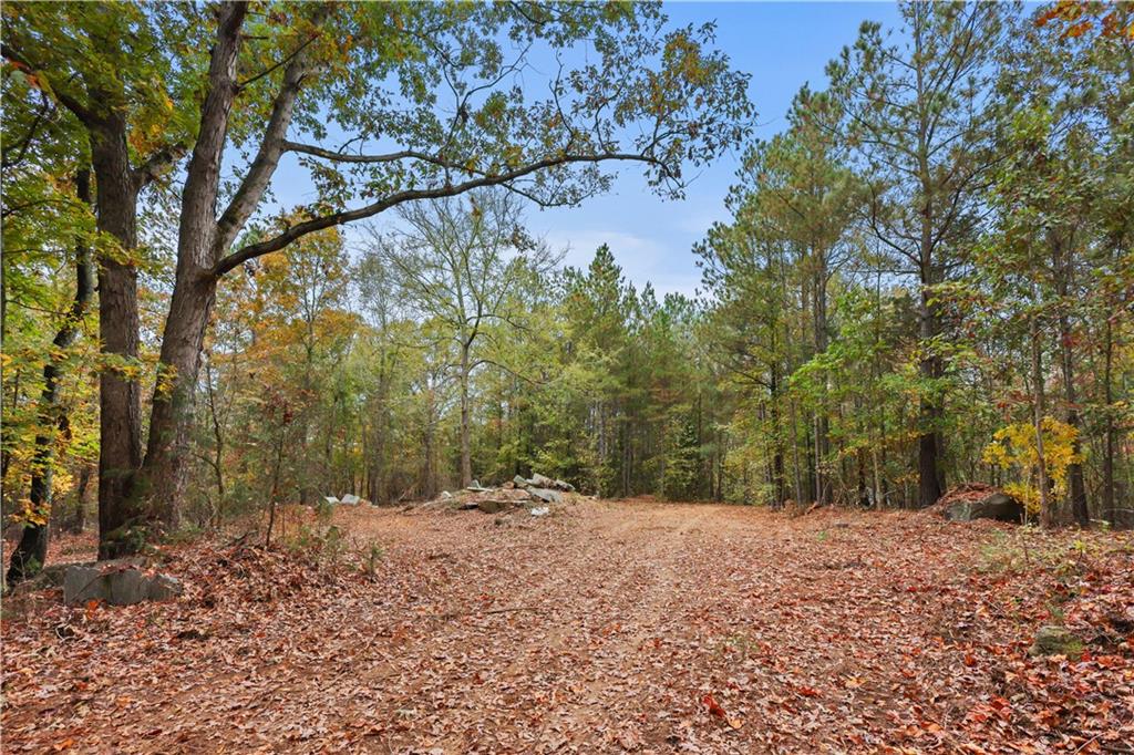 Lot 3 Mill Street, Elberton, Georgia image 9