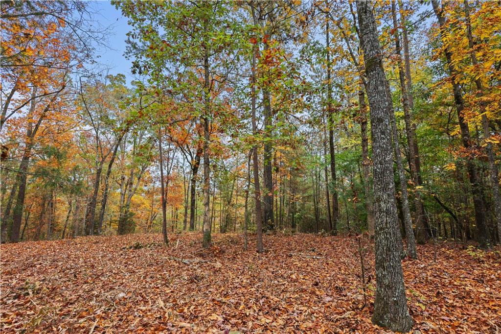 Lot 3 Mill Street, Elberton, Georgia image 11