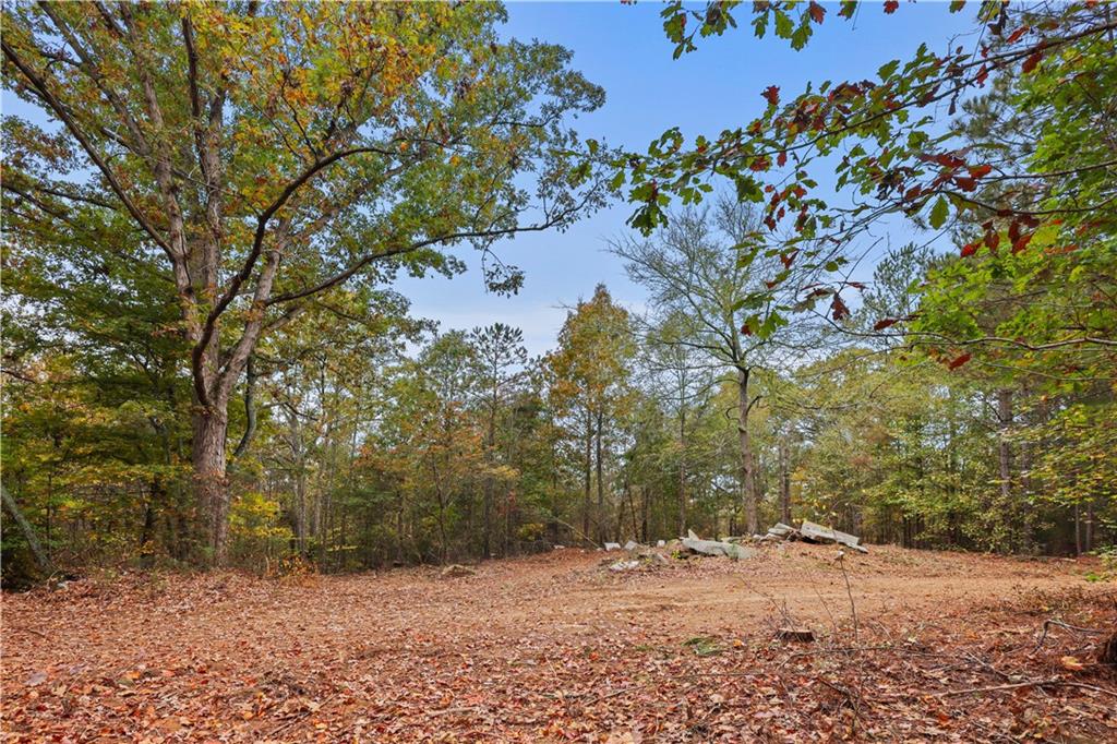 Lot 3 Mill Street, Elberton, Georgia image 2