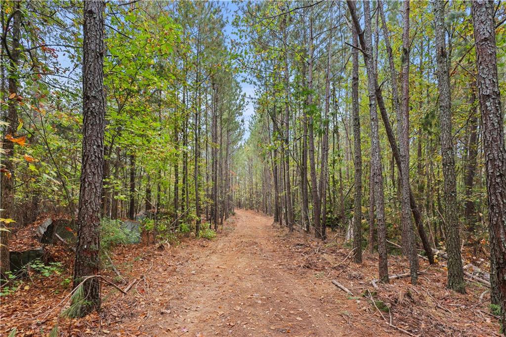 Lot 3 Mill Street, Elberton, Georgia image 4