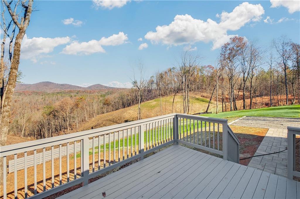 350 Pea Ridge Road, Ball Ground, Georgia image 28