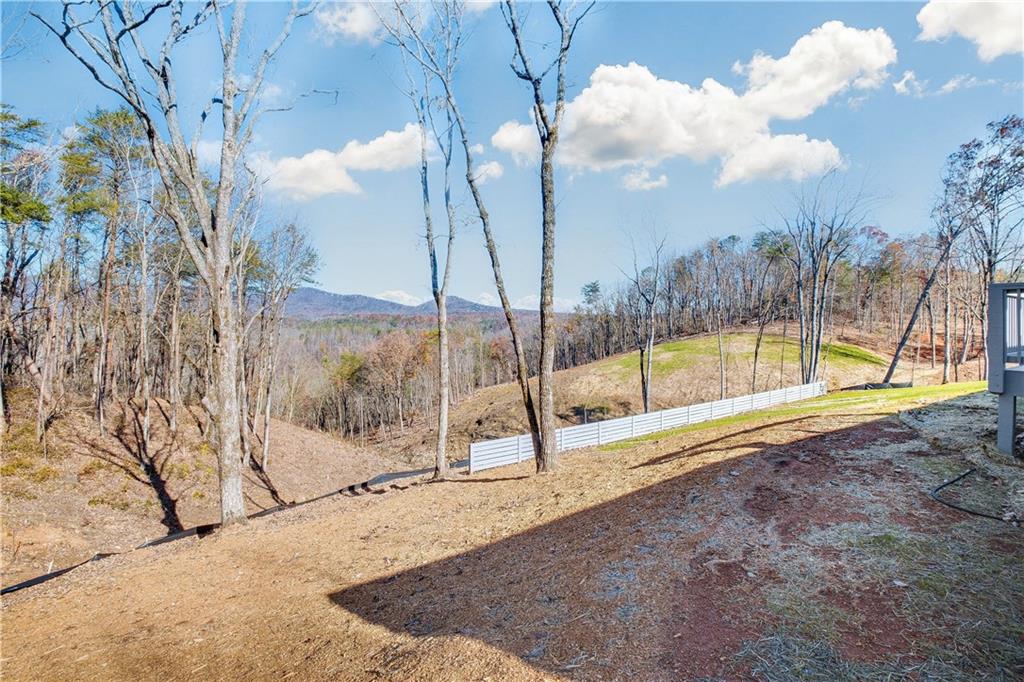 350 Pea Ridge Road, Ball Ground, Georgia image 33