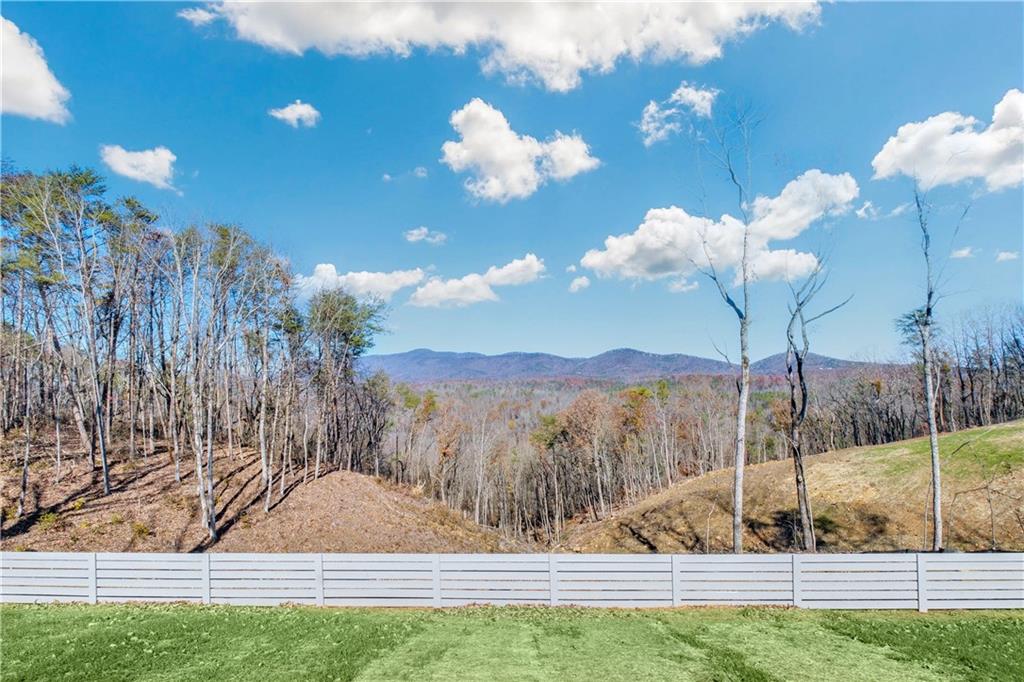 350 Pea Ridge Road, Ball Ground, Georgia image 32