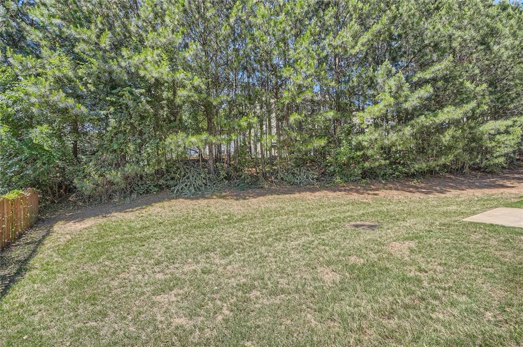 349 Pennant Lane, Fairburn, Georgia image 40
