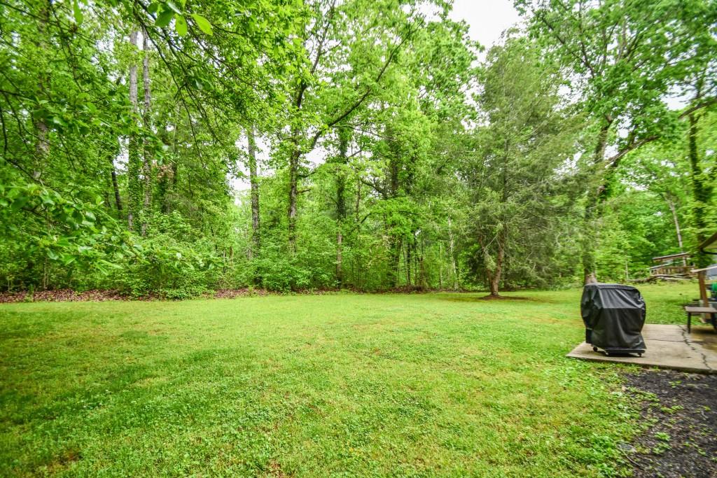 273 Stewart Lane, Clarkesville, Georgia image 41