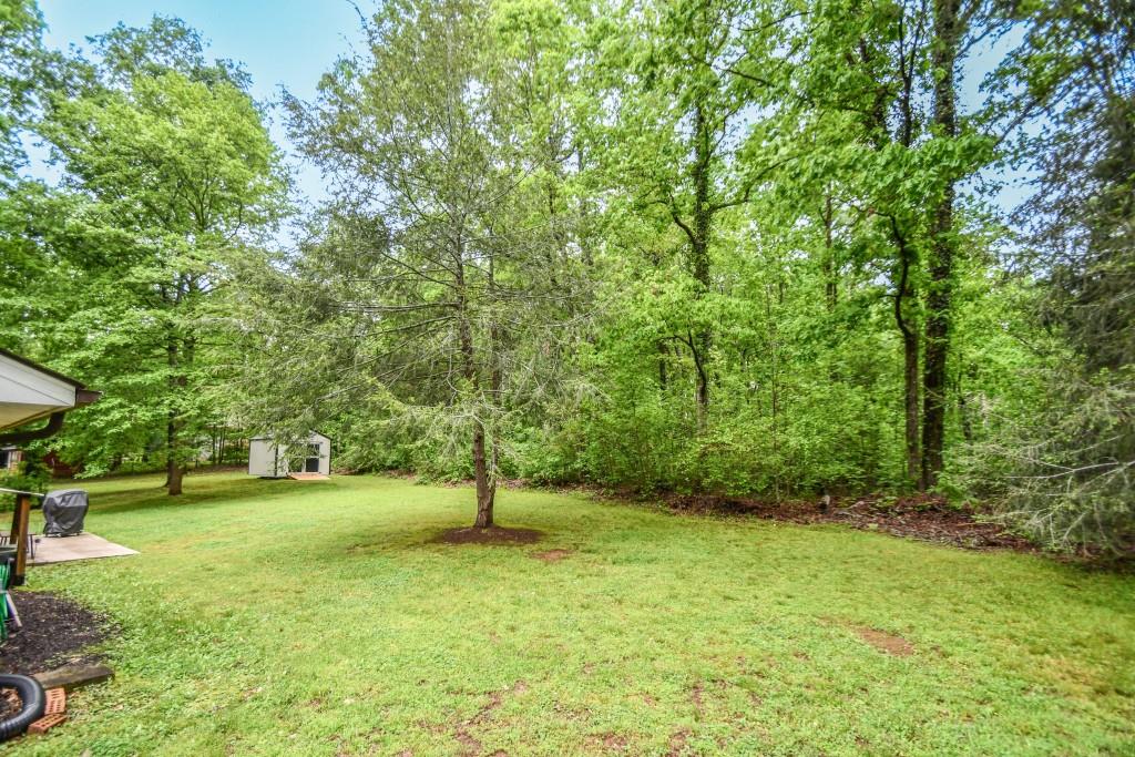 273 Stewart Lane, Clarkesville, Georgia image 31