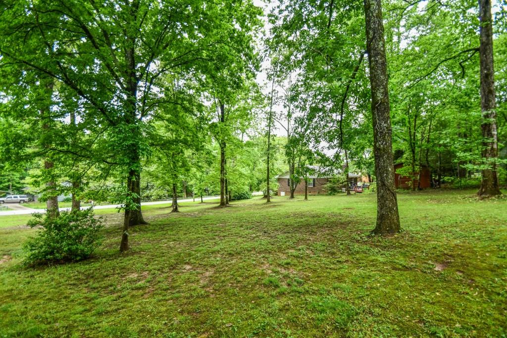 273 Stewart Lane, Clarkesville, Georgia image 38