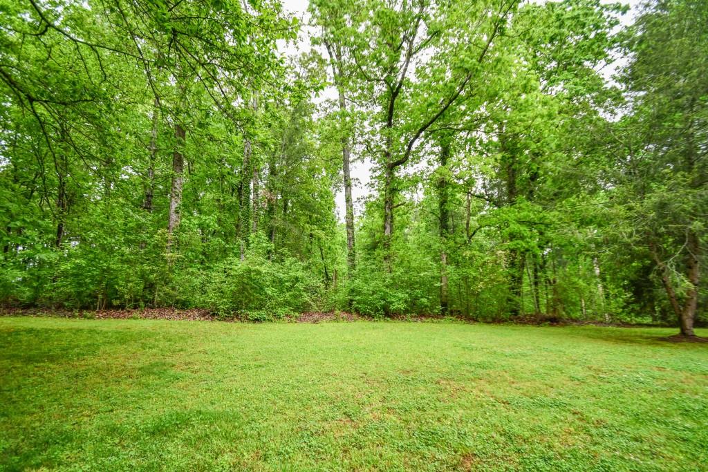 273 Stewart Lane, Clarkesville, Georgia image 42