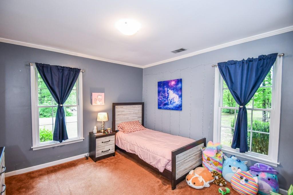 273 Stewart Lane, Clarkesville, Georgia image 20
