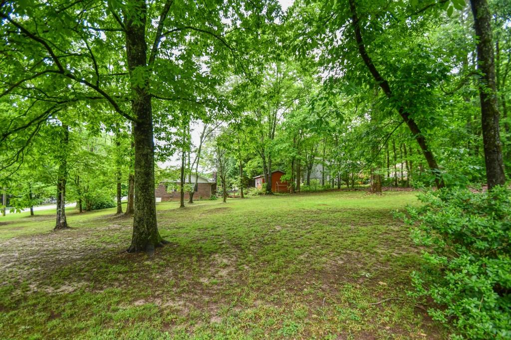 273 Stewart Lane, Clarkesville, Georgia image 43