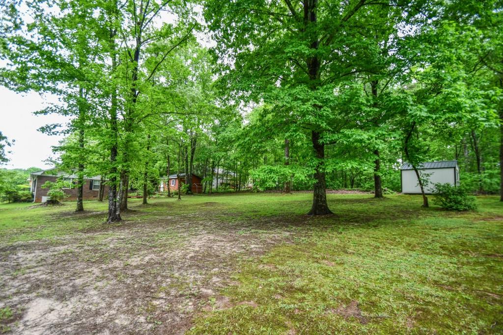 273 Stewart Lane, Clarkesville, Georgia image 46