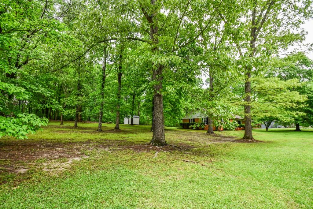 273 Stewart Lane, Clarkesville, Georgia image 49