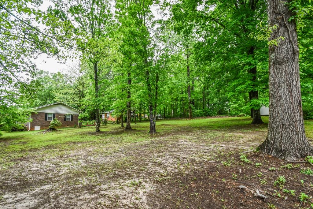 273 Stewart Lane, Clarkesville, Georgia image 47