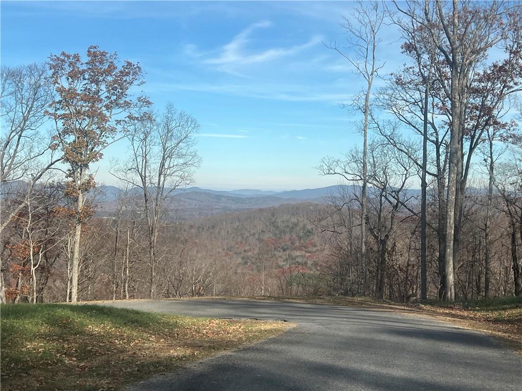 High Summit Drive, Talking Rock, Georgia image 1