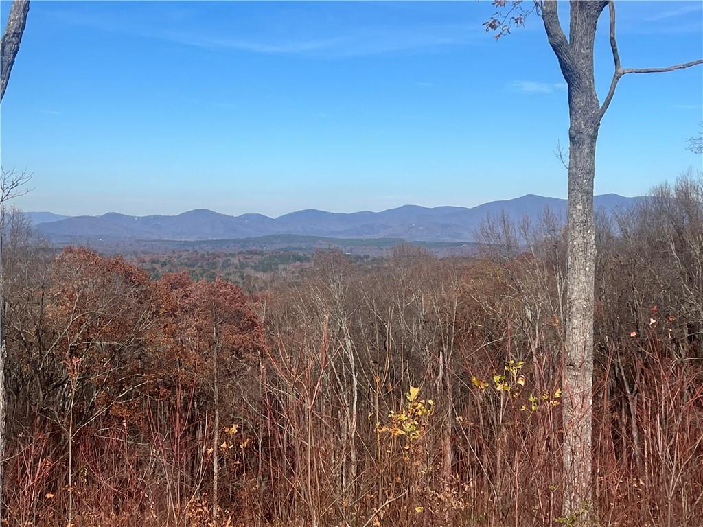 High Summit Drive, Talking Rock, Georgia image 6