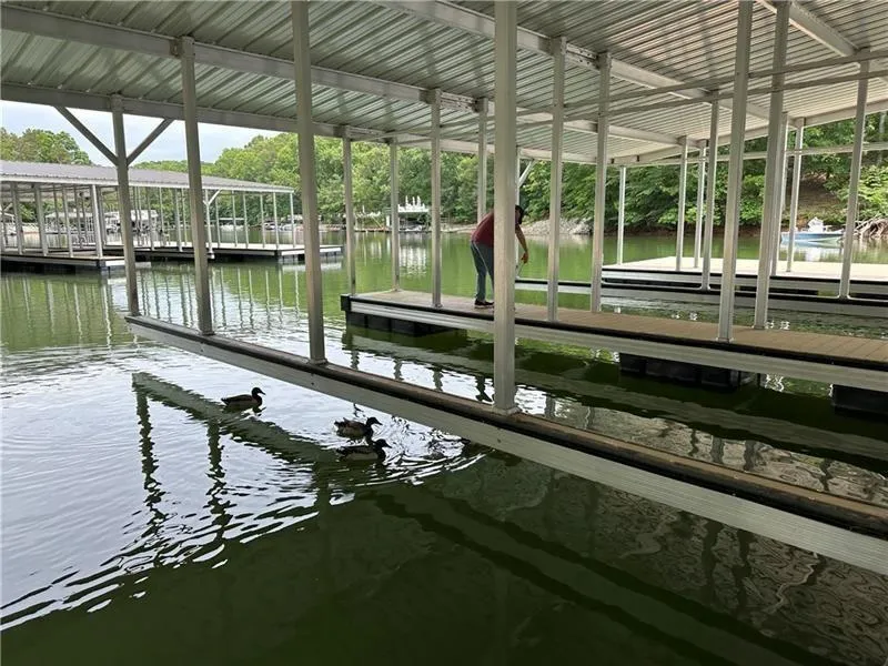 Gainesville, Georgia 30506, United States, 5 Bedrooms Bedrooms, ,5 BathroomsBathrooms,Residential,Active,219963