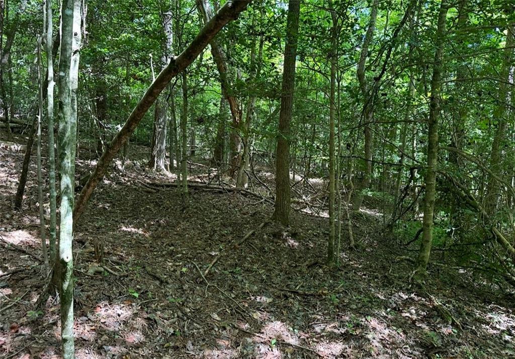 LOT108 Red Oak Trail