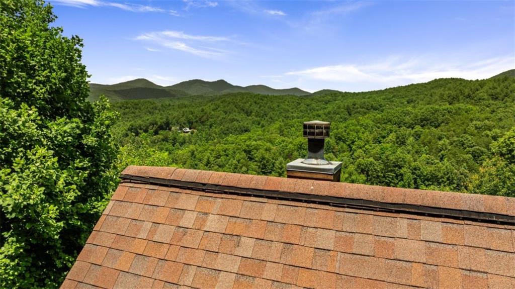 469 Mountain High Drive, Mineral Bluff, Georgia image 11