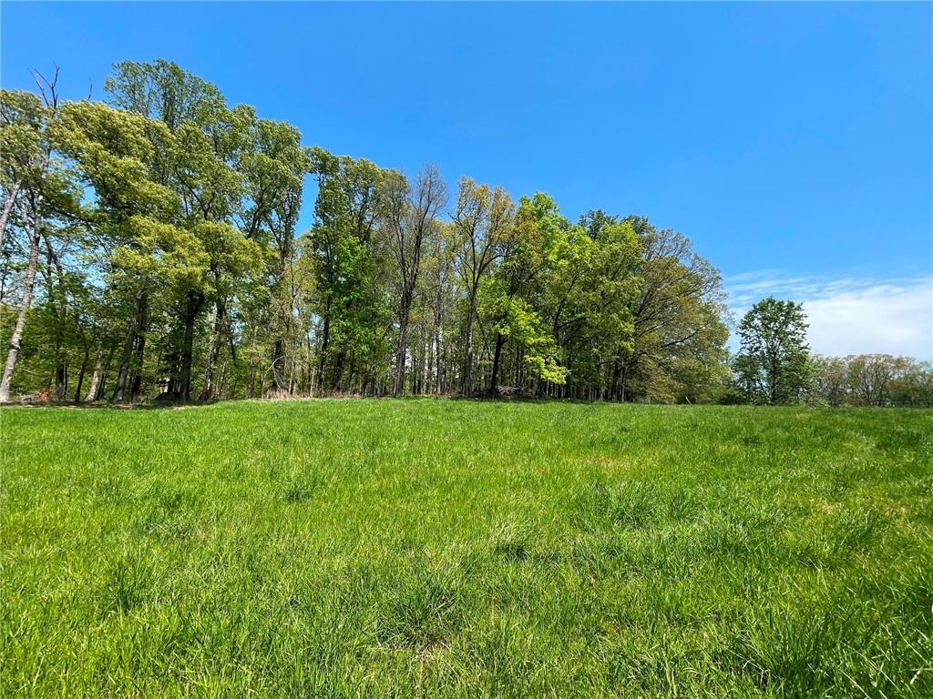 733 Pleasant Union Road, Canton, Georgia image 18