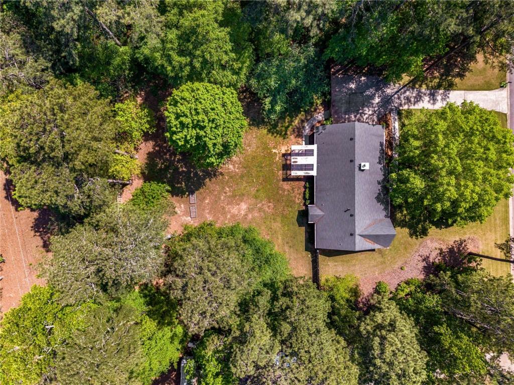 45 Pine Tree Drive, Mcdonough, Georgia image 27