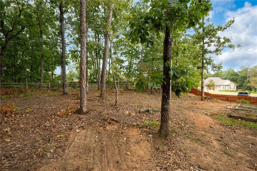 41 Mountain Pointe Drive, Ball Ground, Georgia image 16