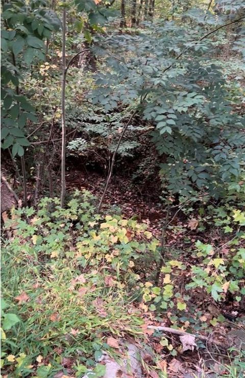 2531 Mohawk Trail Acworth GA 30102